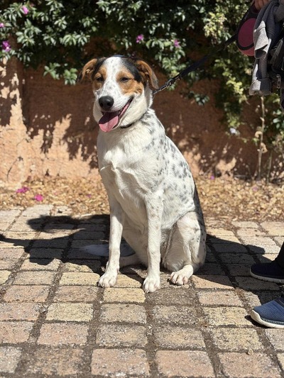 ♥️Άρια ♥️