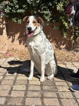 ♥️Άρια ♥️