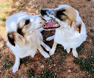Dalia  & Julia