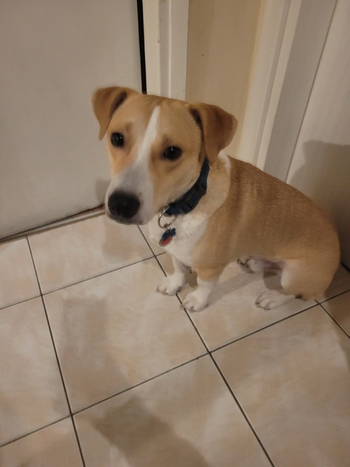 Oskar