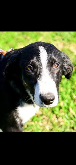 ΧΛΟΗ η Άψογη!!