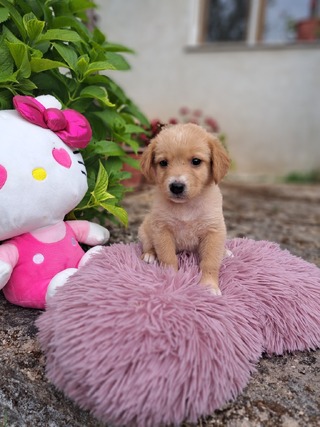 Lilly