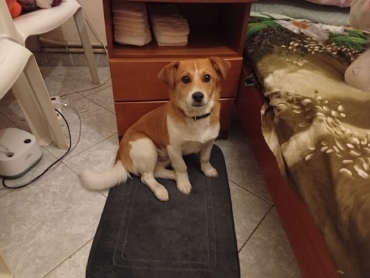 Αρης