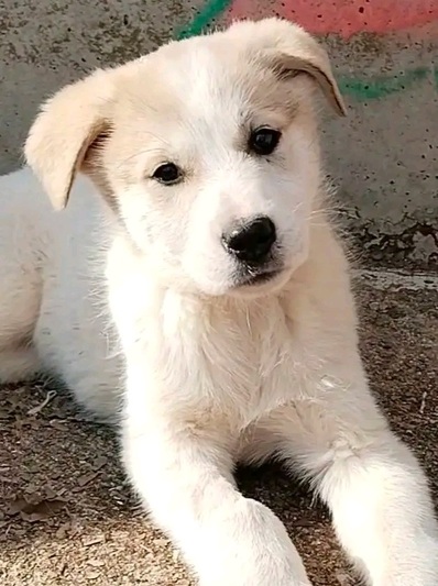 Maya!