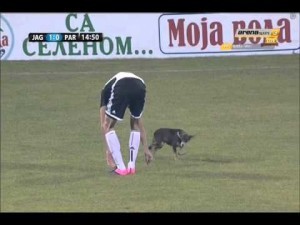 Αδέσποτος σκύλος διακόπτει ποδοσφαιρικό αγώνα!