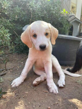 Tiny