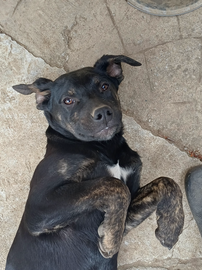 Χωρίς όνομα