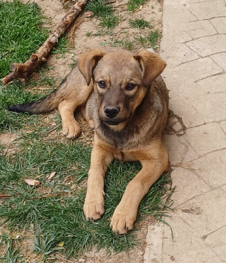 Χωρίς όνομα