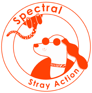 Spectral stray action