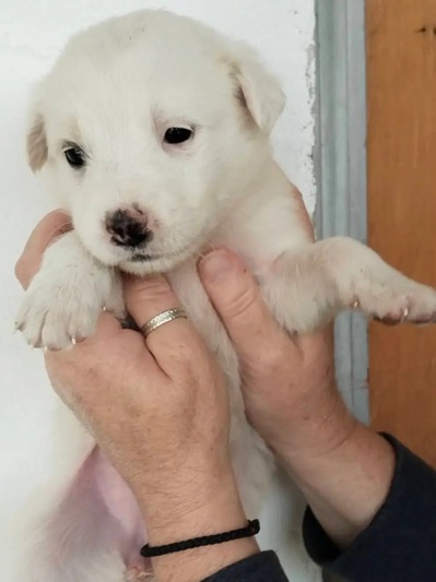 Coco!