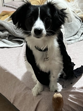 Molly