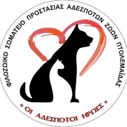 Σκέψεις για τη δημιουργία καταφυγίου από το Σωματείο – Υπάρχει ο κατάλληλος χώρος;