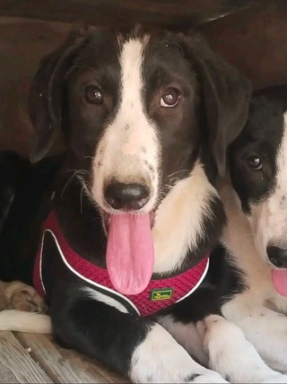 Zoe!