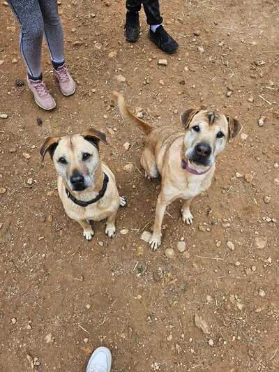 Πέγκυ κ Μαρλον