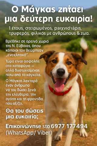 Μάγκας