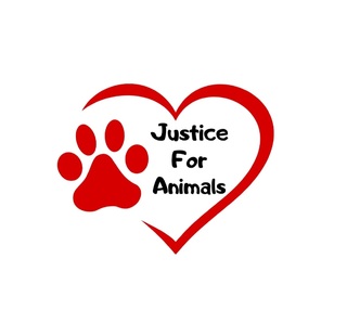 Δικαιοσύνη Για Τα Ζώα /Stray Gerakas Φιλοζωική Ανθούσα,Γέρακας,Παλλήνη
