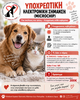 Νέο Πρόγραμμα Microchip – 20 Διαθέσιμες Θέσεις