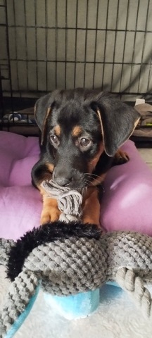 Ayla ❤️