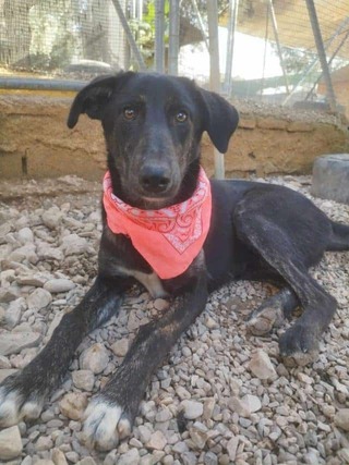 ♥️Σαλυ ♥️