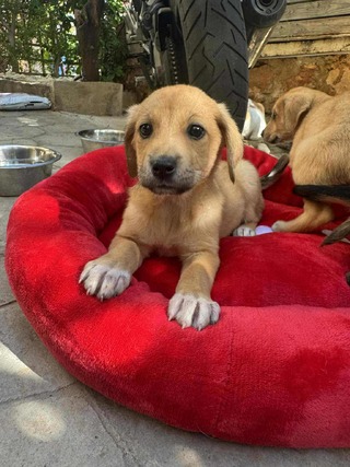 ♥️Νελη♥️