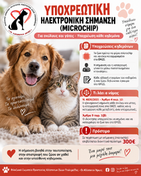Νέο Πρόγραμμα Microchip – 20 Διαθέσιμες Θέσεις