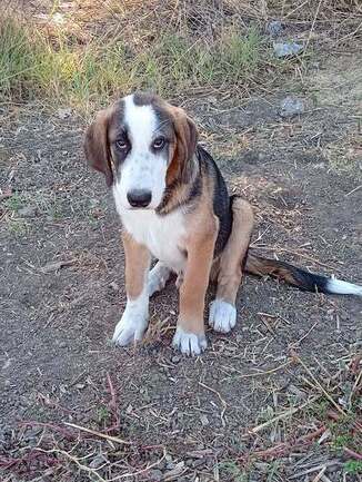 MAILO