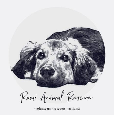Romi Animal Rescue