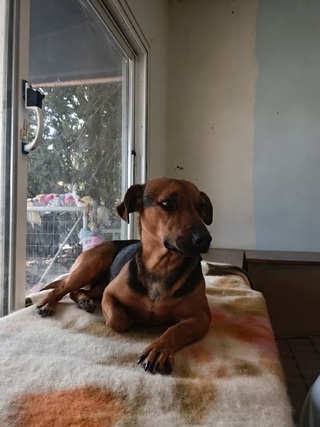 Mili
