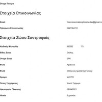 ⚠️ ΕΝΗΜΕΡΩΣΗ ΠΕΡΙΣΤΑΤΙΚΟΥ ⚠️