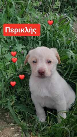 ΠΕΡΙ 2 ΜΗΝΩΝ