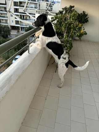 Μικρός