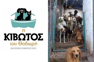 Καμπάνια στήριξης για τα αδέσποτα σκυλάκια του καταφυγίου της Χίου!