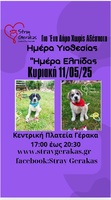 Ημέρα υιοθεσίας