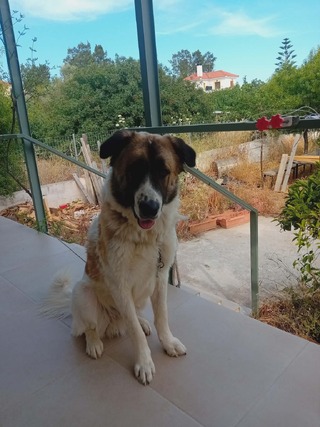 Μπέμπης