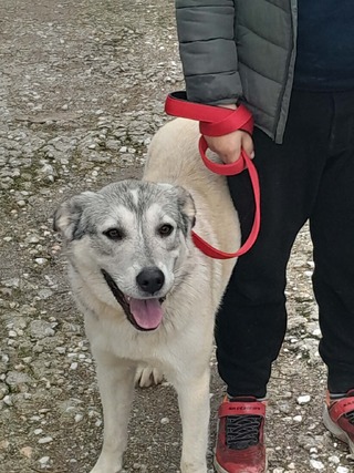 ΗΡΑ 10 ΜΗΝΩΝ