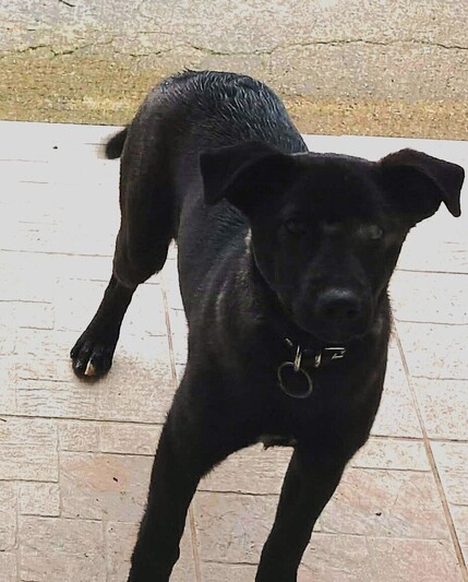 Chloe