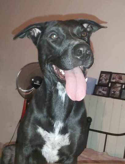 Darko