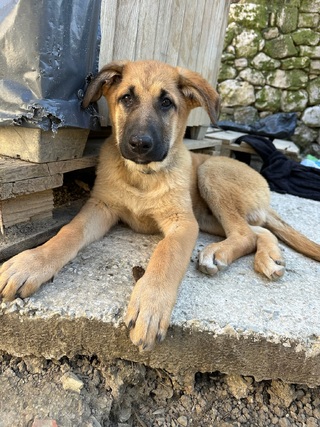Μπάτμαν