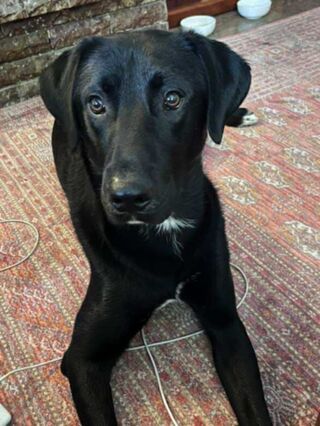 Asher <3
