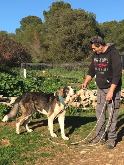 Ιβάν