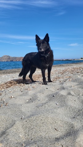 Nera