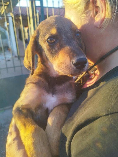 ♥️Τομπυ♥️