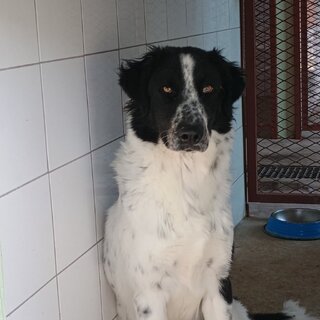 EDDY