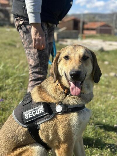 ♥️Μάρτιν ♥️