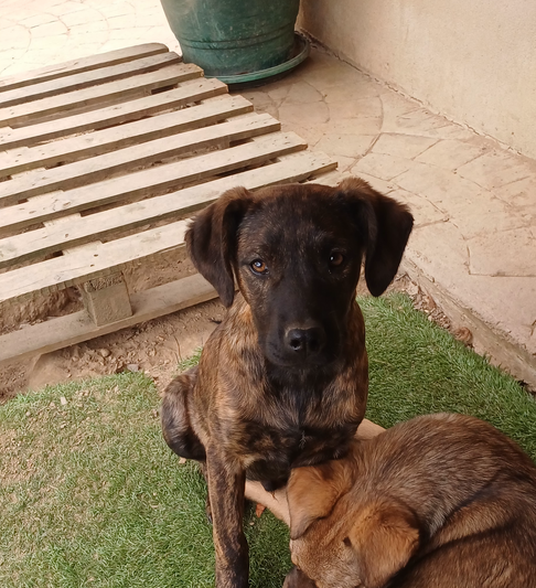 Χωρίς όνομα