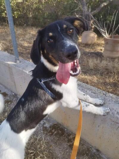 ♥️Κίρκη ♥️