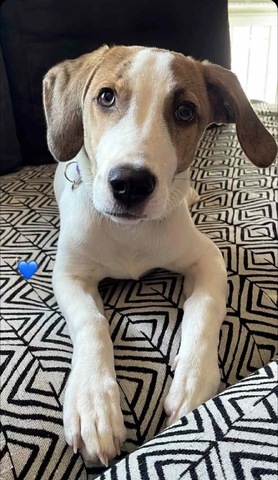Jack