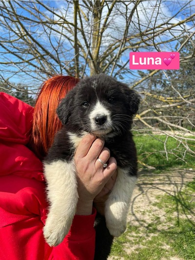 Luna