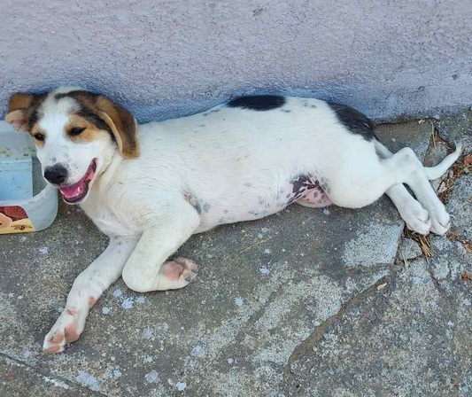 Ανώνυμος