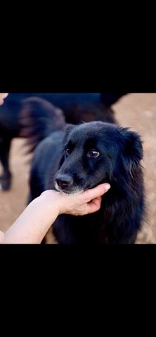 Βαλεντίνο ΣΠΙΤΖ
